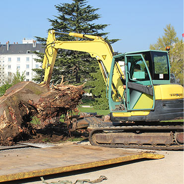 Décapage et nettoyage de terrain